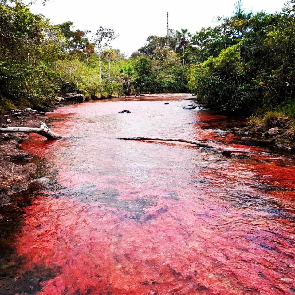 Hotel Ecologico Makalombia La Macarena Luaran gambar
