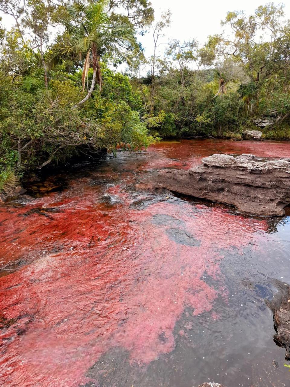 Hotel Ecologico Makalombia La Macarena Luaran gambar