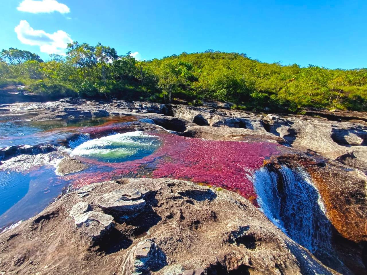 Hotel Ecologico Makalombia La Macarena Luaran gambar