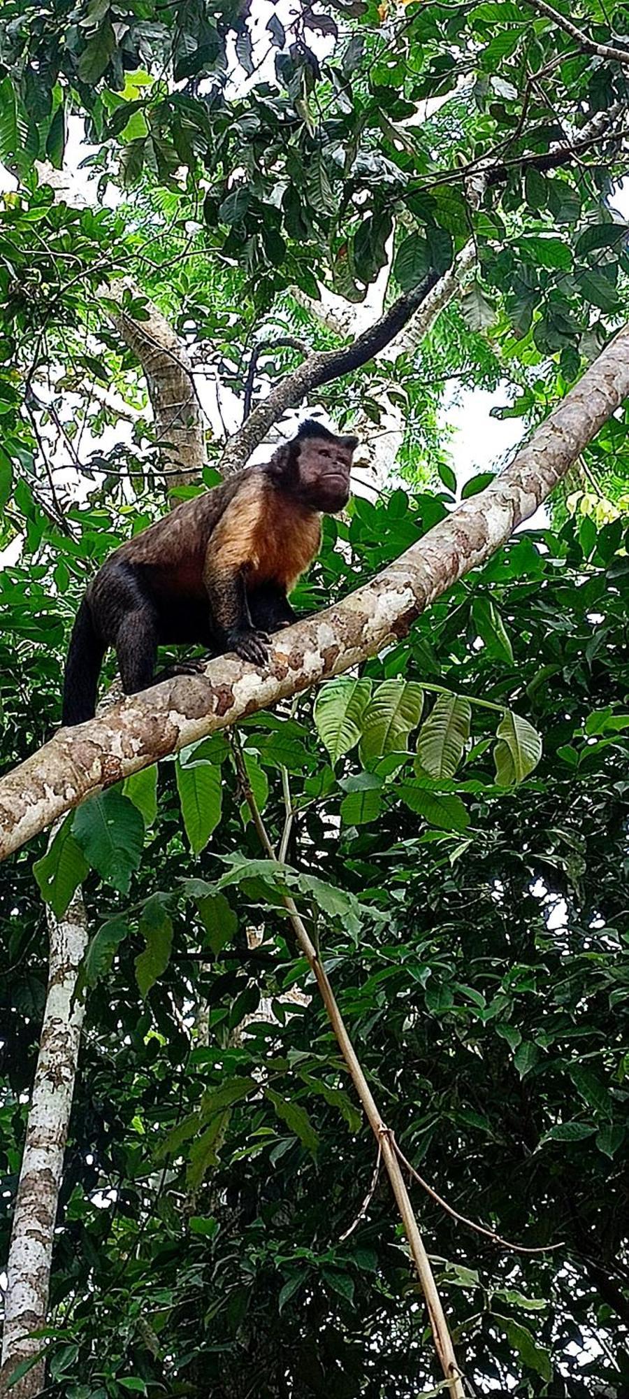 Hotel Ecologico Makalombia La Macarena Luaran gambar