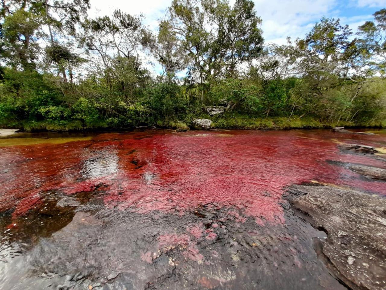 Hotel Ecologico Makalombia La Macarena Luaran gambar