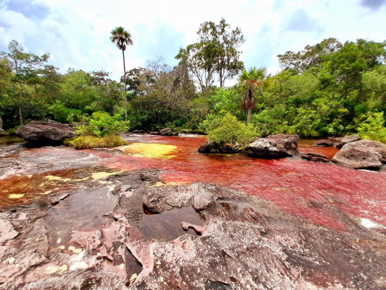 Hotel Ecologico Makalombia La Macarena Luaran gambar