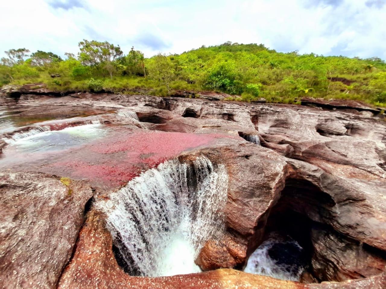 Hotel Ecologico Makalombia La Macarena Luaran gambar